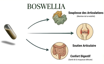 Boswellia pure