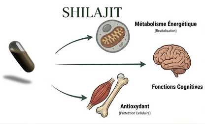 Shilajit pur