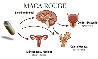 Maca pure rouge